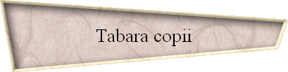 Tabara copii